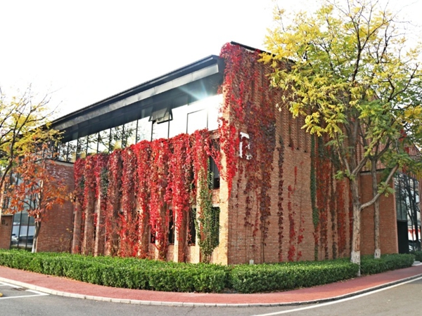 B5slt